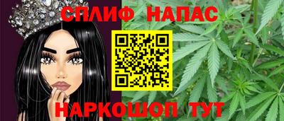шишки Бузулук