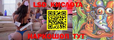 шишки Бузулук