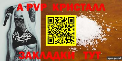 индика Будённовск
