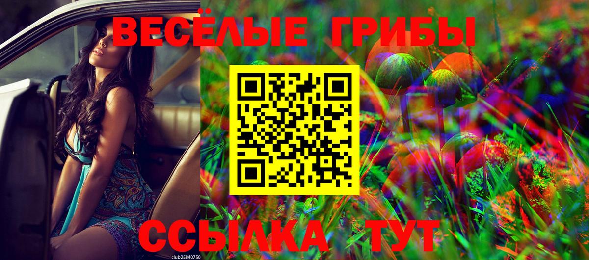 Галлюциногенные грибы Cubensis Ликино-Дулёво