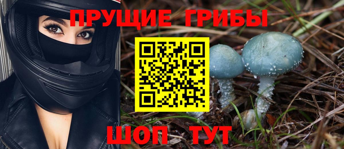 Псилоцибиновые грибы GOLDEN TEACHER  где найти наркотики  Ликино-Дулёво  Вход с VPN 